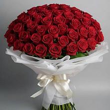 Букет 101 Красная роза Блэк Мэджик в Ябедино