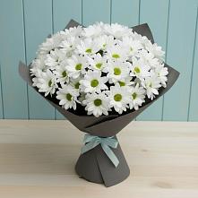 Букет цветов из:  Хризантемы #REPLACE_PRED# Ябедино