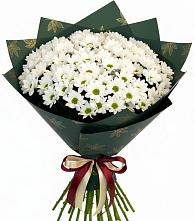 Букет цветов из:  Хризантемы в Ябедино