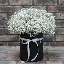 Цветочная композиция из Гипсофила в шляпной коробке #REPLACE_PRED# Ябедино