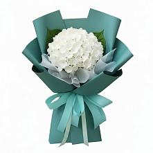Букет цветов из:  Гортензия #REPLACE_PRED# Ябедино